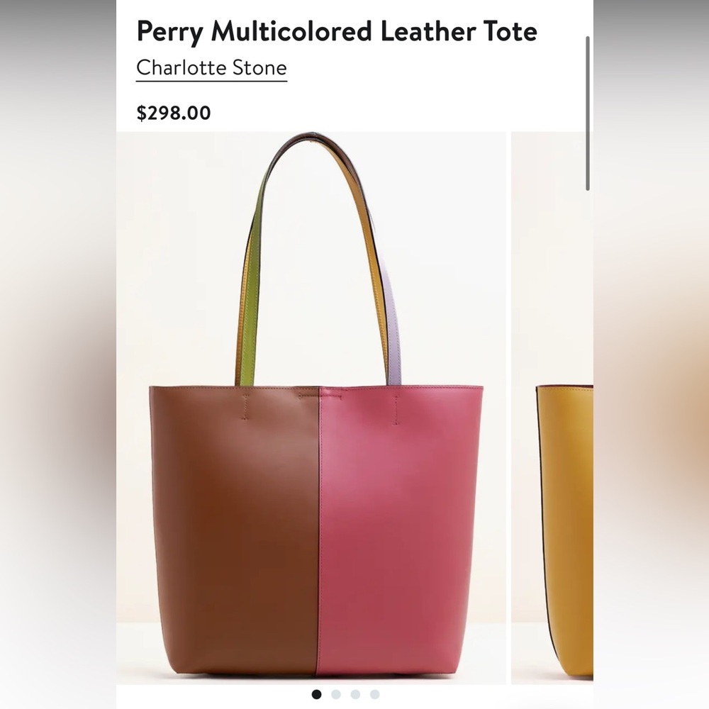 Charlotte Stone Perry Multicolored Tote